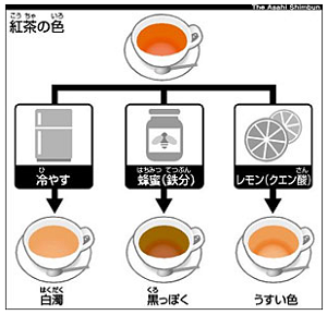 紅茶の色の変化