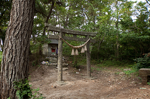 猫神社
